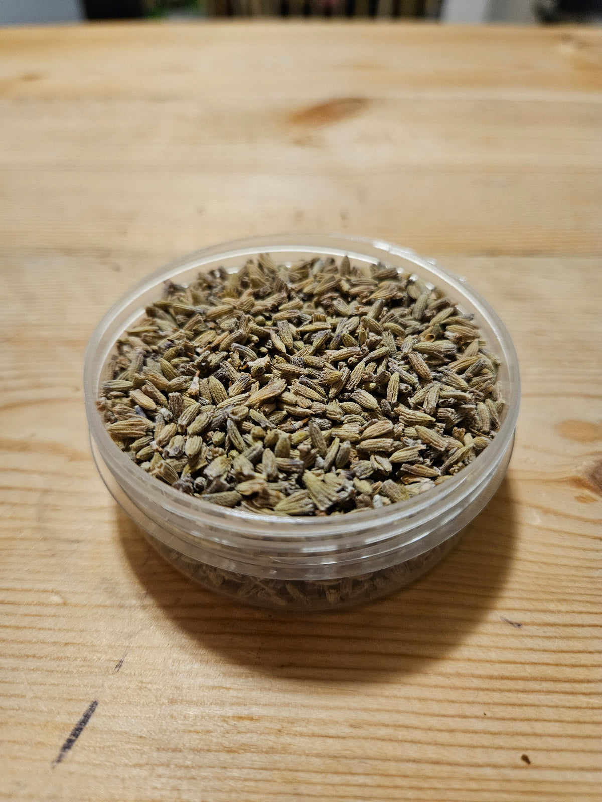 Lavender